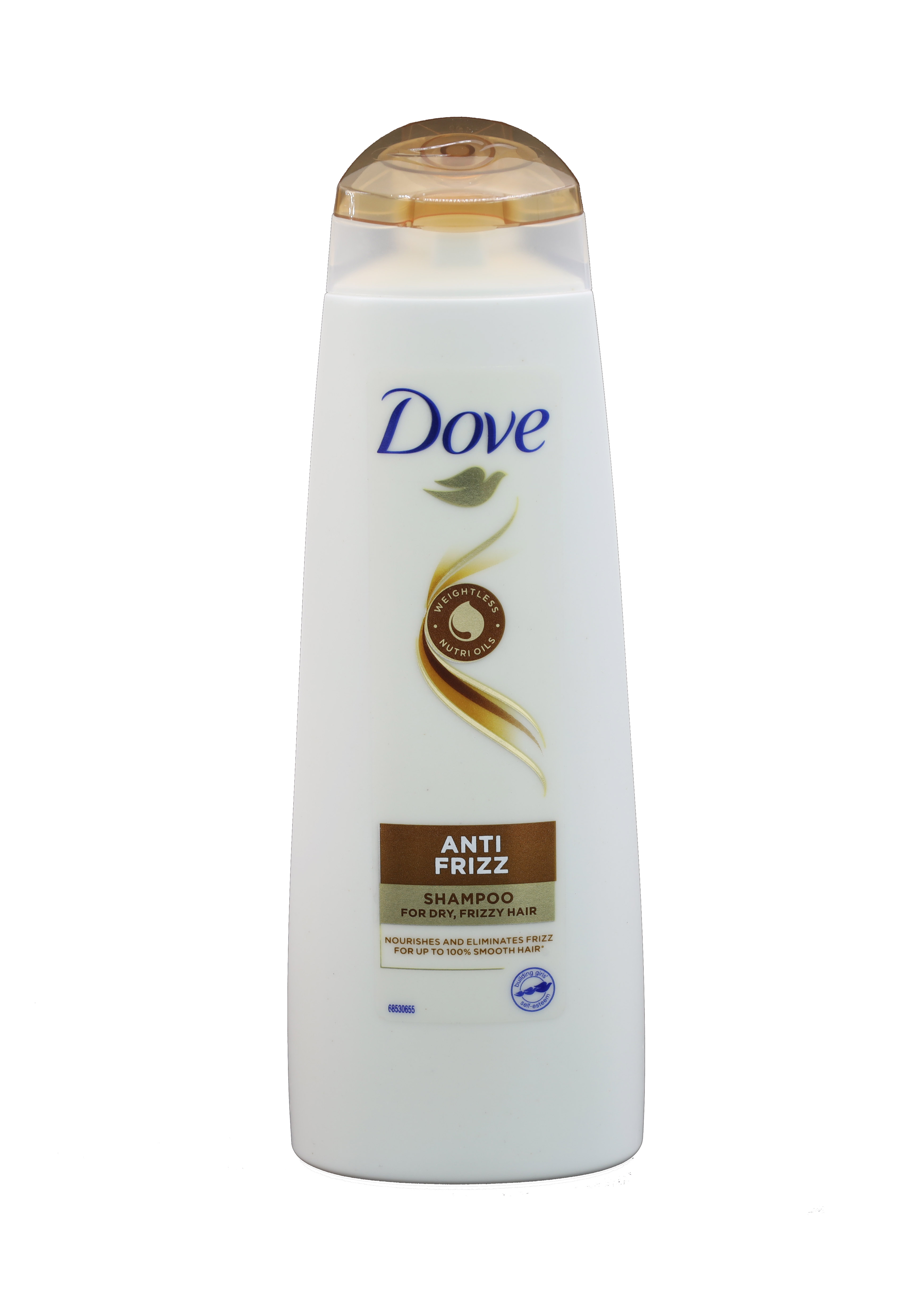 Dove Shampoo 250ml Anti Frizz